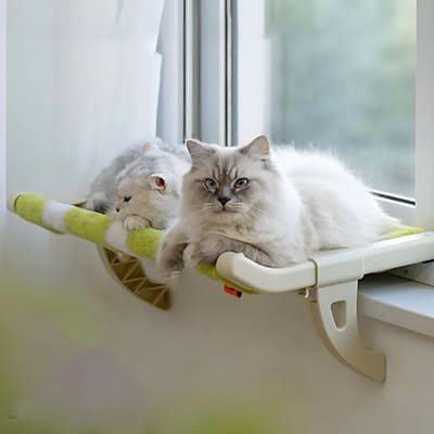 Hamaca de ventana para gatos 😻🛏️ un espacio especial que tu gato amará