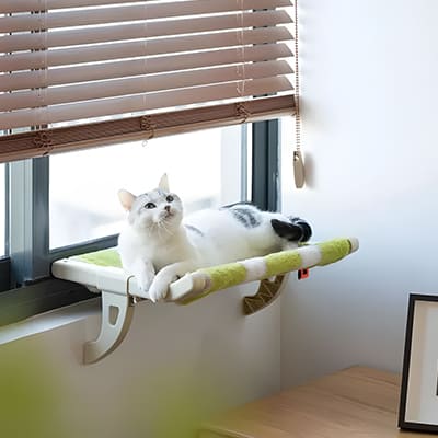 Hamaca de ventana para gatos 😻🛏️ un espacio especial que tu gato amará