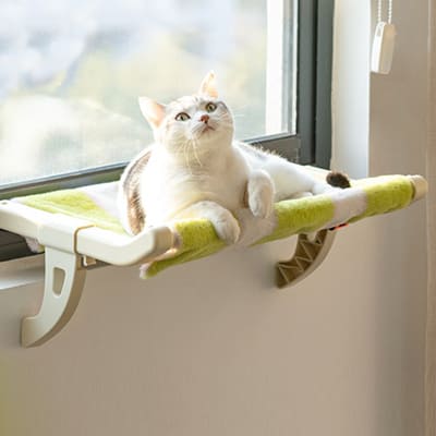 Hamaca de ventana para gatos 😻🛏️ un espacio especial que tu gato amará