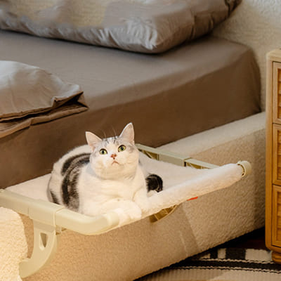 Hamaca de ventana para gatos 😻🛏️ un espacio especial que tu gato amará