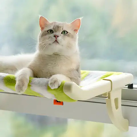 Hamaca de ventana para gatos 😻🛏️ un espacio especial que tu gato amará